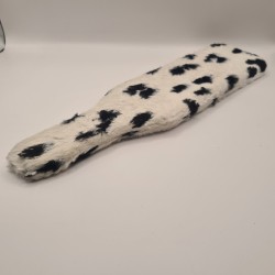 Paddle Dalmatien